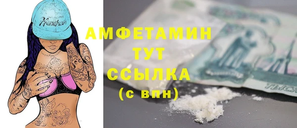 мдпв Инта