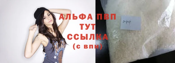 мдпв Инта
