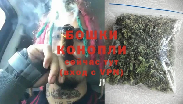 прущие грибы Инсар