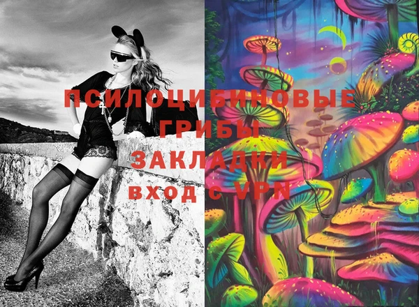 мдпв Инта
